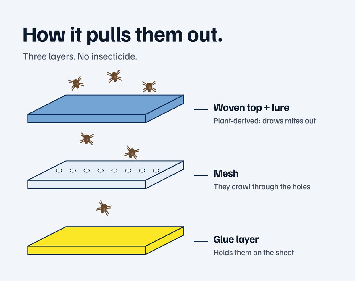 How the sheet works: a plant-derived lure, a mesh, and a glue layer that holds the mites